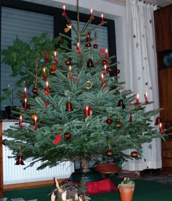Weihnachtsbaum 08.jpg