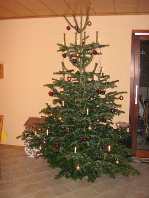 IMG_3423.JPG