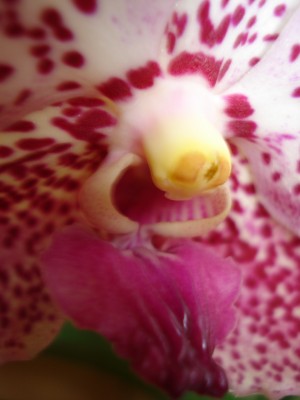 bilder Dez.2007 051.jpg