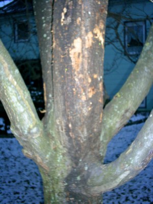 S4025988_edited.JPG