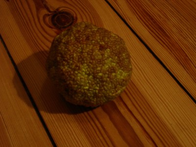 DSC08782.JPG
