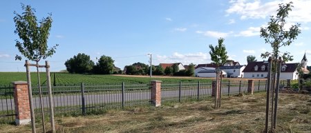 Gartenzaun - Ideen gesucht...