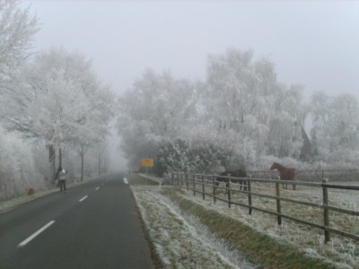 Winter in Eißel 007.JPG