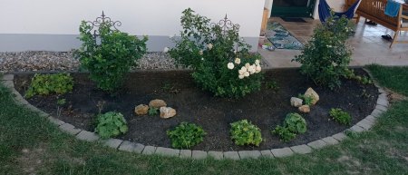 Gartengestaltung schwieriger Boden