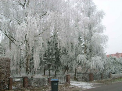 Winter in Eißel 005.JPG