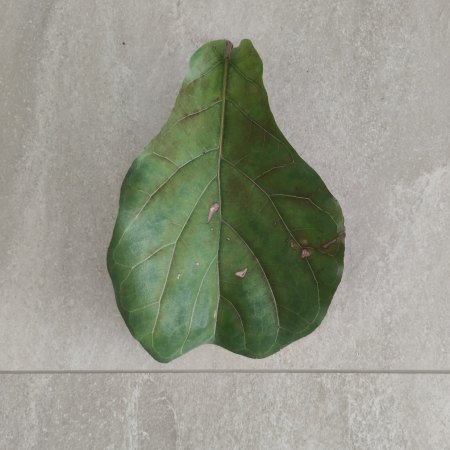 Zweites Blatt
