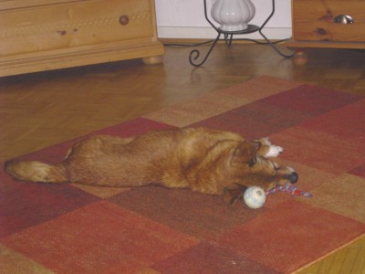 PICT0098.JPG