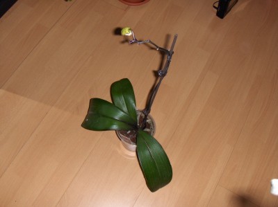 Bild 108.jpg