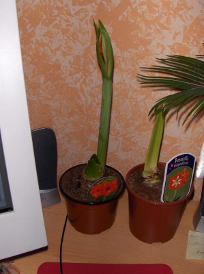 Bild 107.jpg