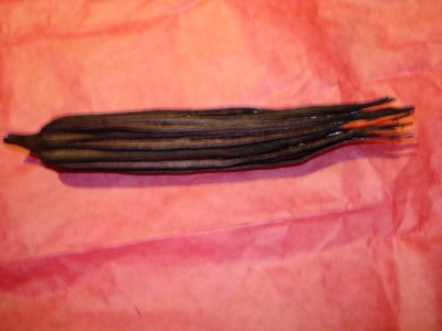 bilder Dez.2007 056.jpg