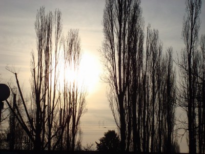 28.12.2007 silhouetten.jpg