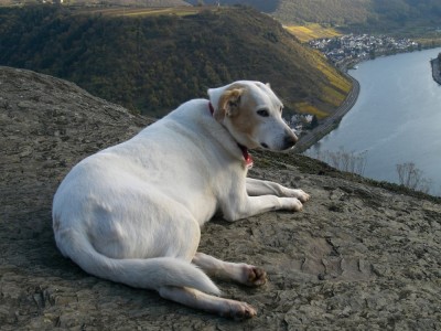 klein Lady Ausoniusstein.jpg