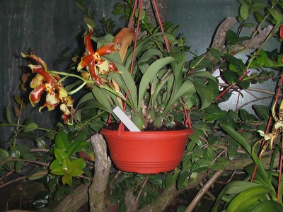 IMGA0014.JPG
