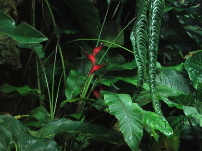 IMGA0011.JPG