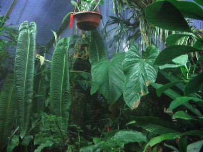 IMGA0009.JPG