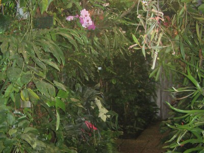 IMGA0008.JPG
