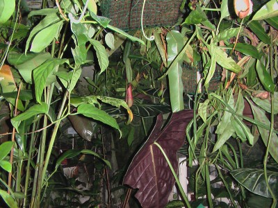 IMGA0028.JPG