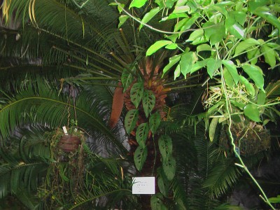IMGA0027.JPG