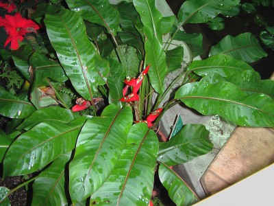 IMGA0026.JPG