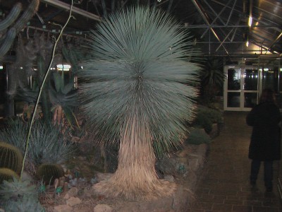 IMGA0024.JPG