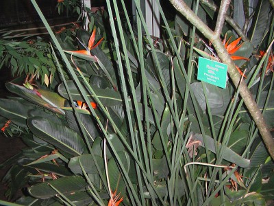 IMGA0023.JPG