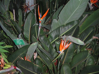 IMGA0021.JPG