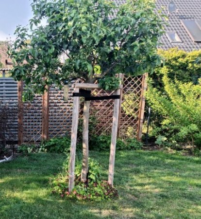 Gartengestaltung schwieriger Boden