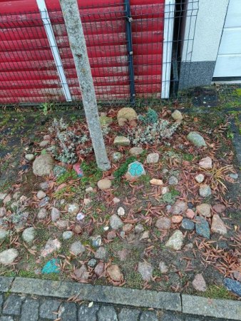 Gartengestaltung schwieriger Boden