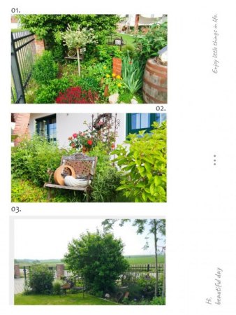 Zeigt her Eure Gärten.... FOTOS Bedingung... ;-)