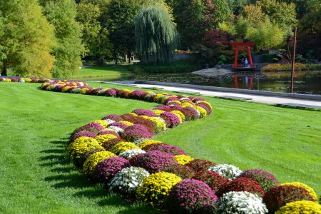 Herbstzauber 2024 in den Schlossgärten Arcen: Farbenprächtige Blüten und magische Abende