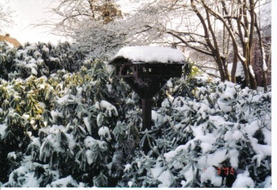 Das Schweizerhaus.jpg