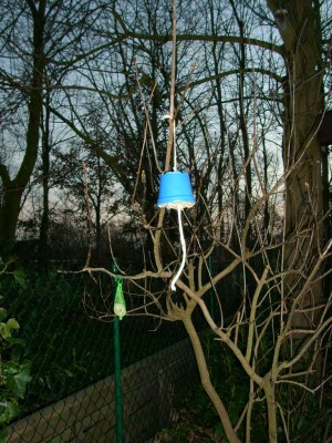 Der hängende Imbis.JPG