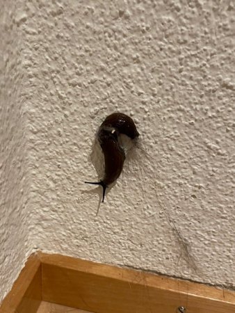Sorry für den Staub und die Katzenhaare – steht eigentlich ein Kratzbaum davor ;-)