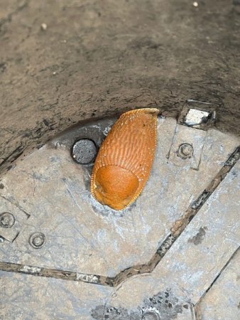 Sorry für den Staub und die Katzenhaare – steht eigentlich ein Kratzbaum davor ;-)
