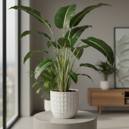 Die majestätische Alocasia: Wie du das Elefantenohr zum Star deines Urban Jungle machst!