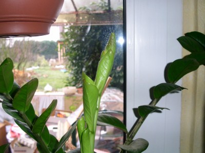 PICT0604.JPG