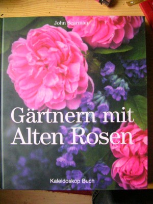 Bücher 002.JPG