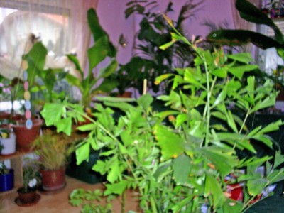S4025998_edited.JPG