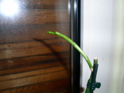PICT0014.JPG