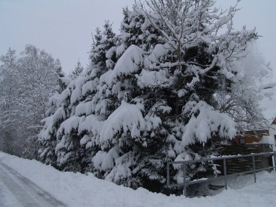winter04.jpg