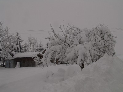 winter08.jpg