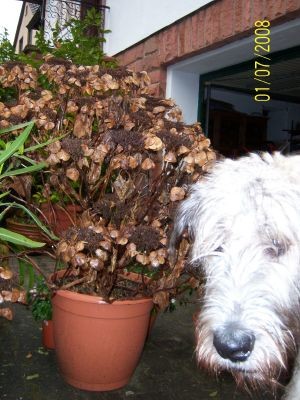 100_0087.jpg