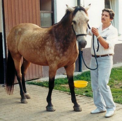 Joker und Ich.2 0002.jpg