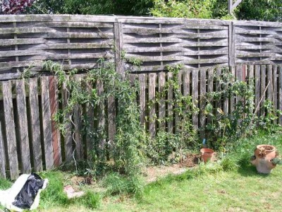 PICT0087.JPG