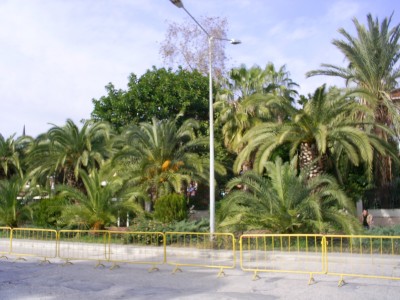 S4026135.JPG