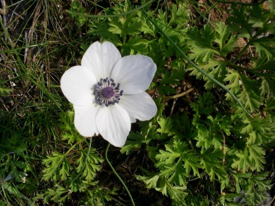 S4026130.JPG