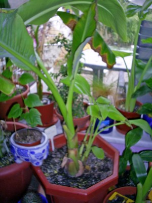 S4026001_edited.JPG
