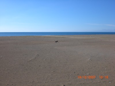 CIMG0052.JPG