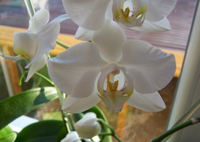 100_8095.jpg