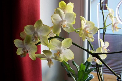 100_8079.jpg